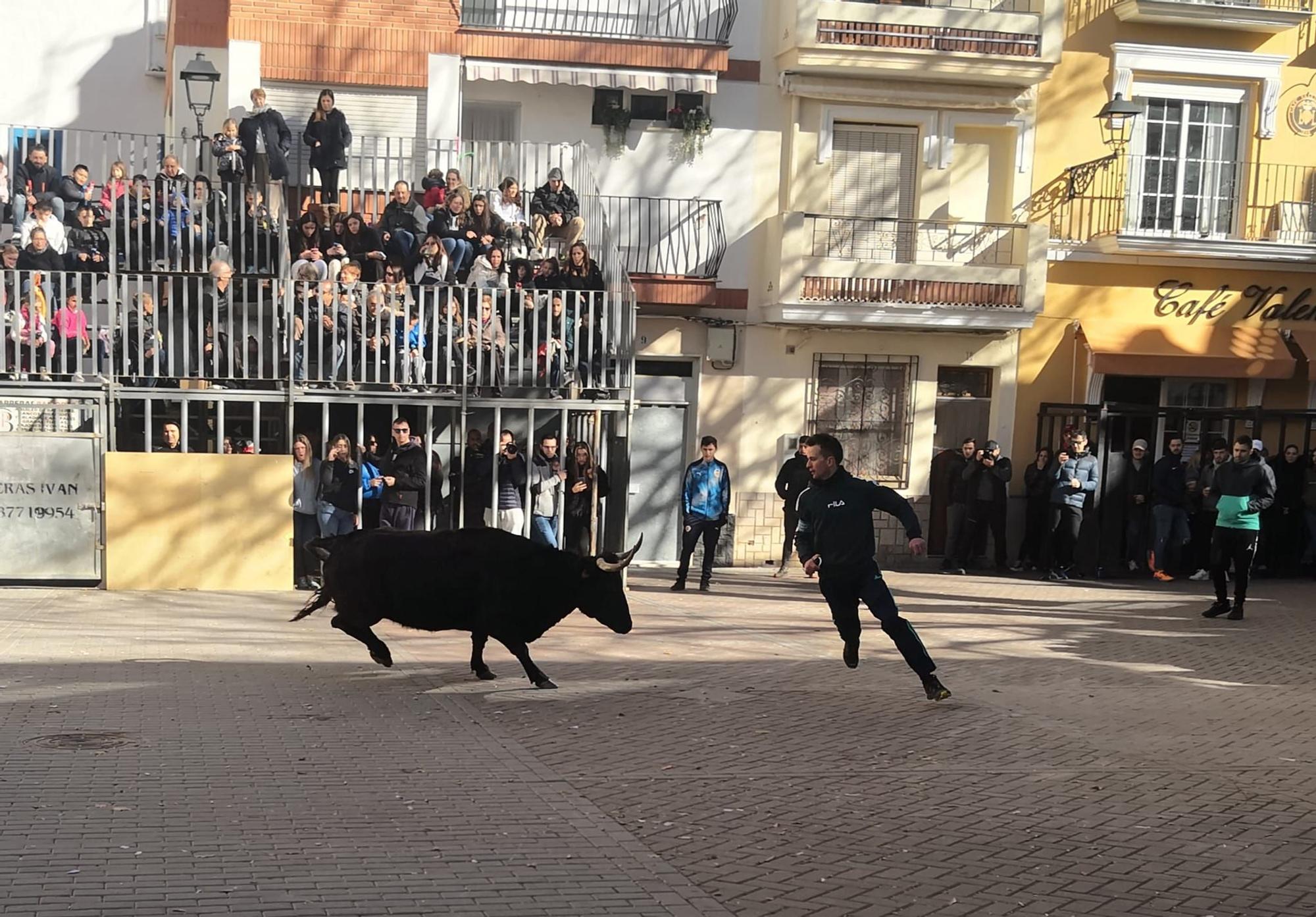 Fin de semana taurina en Navajas por San Antón