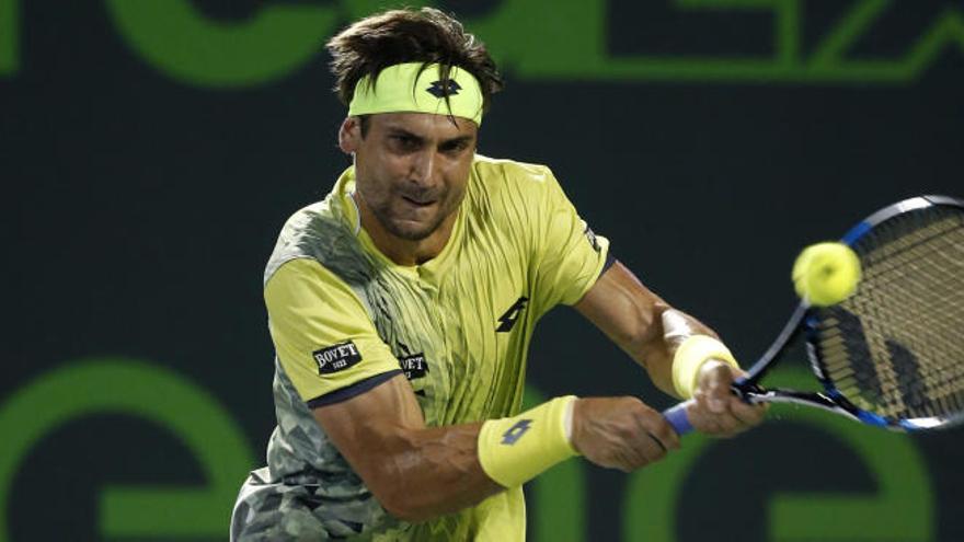 David Ferrer