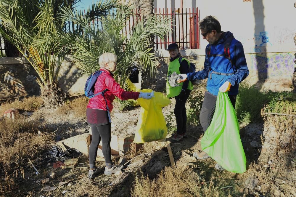 Limpieza de huertos para proteger el Palmeral