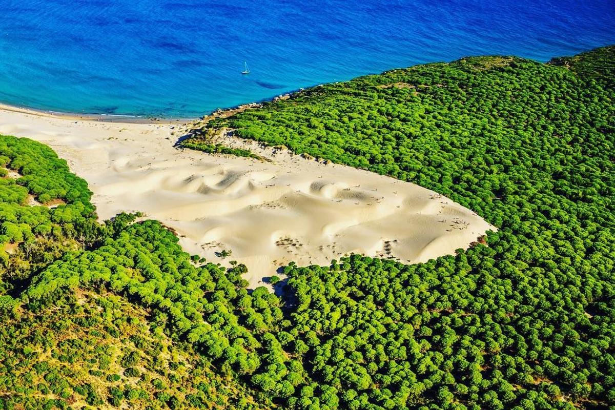 La inconfundible duna de la playa de Bolonia vigila desde lo alto a los bañistas que disfrutan de este precioso paraje gaditano