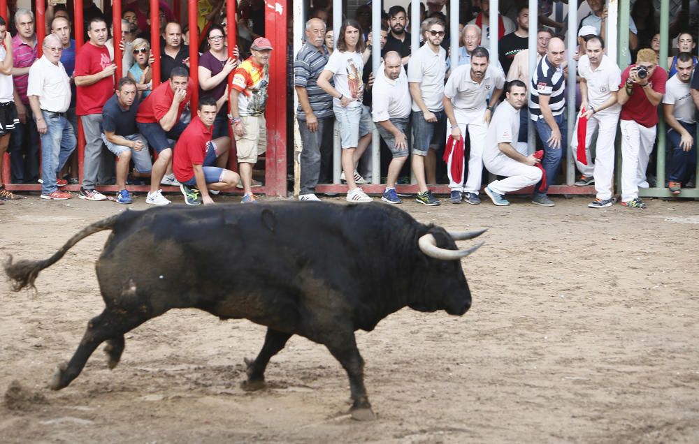 Festes del Roser en Almassora