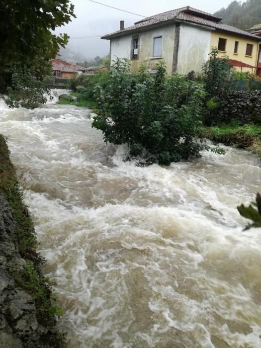 El río Las Conchas, a su paso por Vibañu (Llanes).