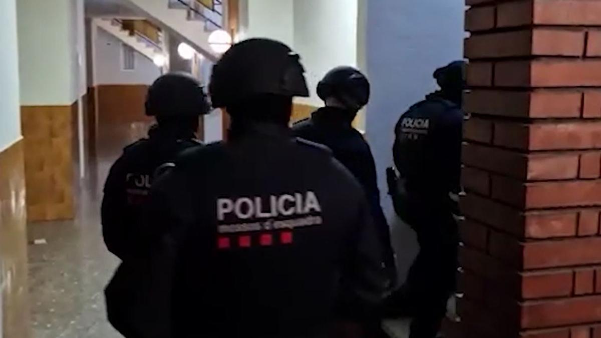 mossos ap7