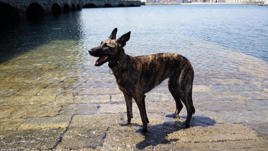 Nera en el Puerto Deportivo