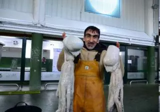 La lonja de Bueu registra una caída de 375.000 euros por la crisis del pulpo