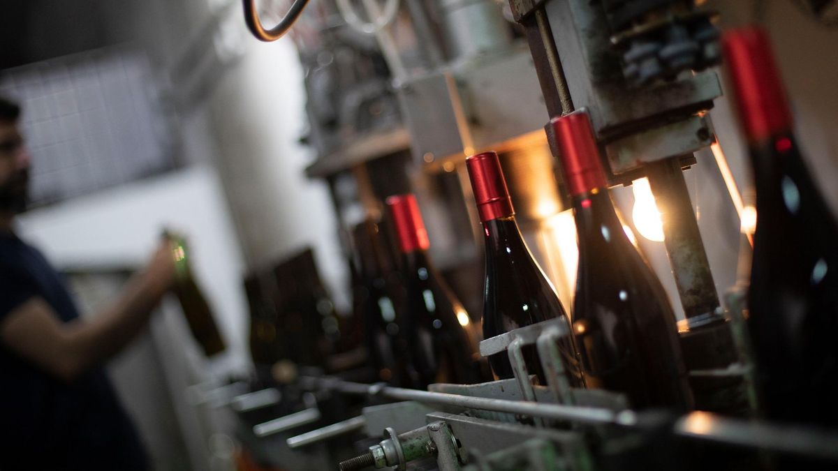 Bodega Jesús Díaz, la primera parada de la Ruta del Vino de Cercanías Madrid.