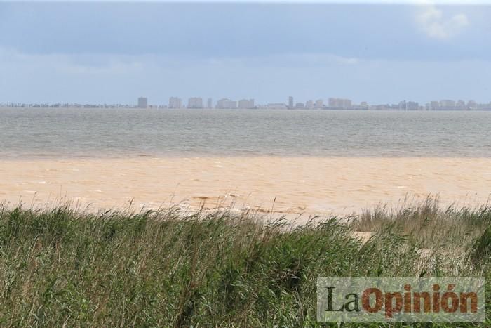 Limpian Los Alcázares tras las fuertes lluvias de los últimos días