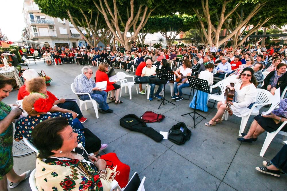 Romería de San Isidro en Cox.