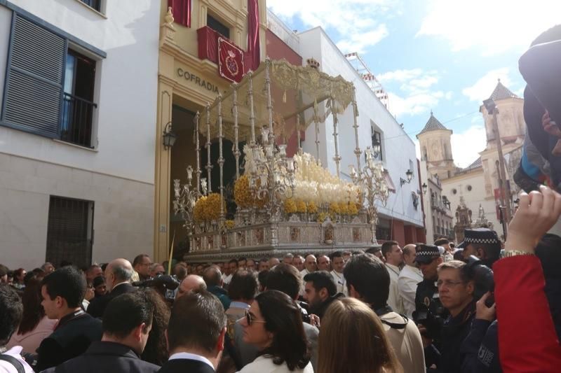 Domingo de Ramos de 2016 | Pollinica