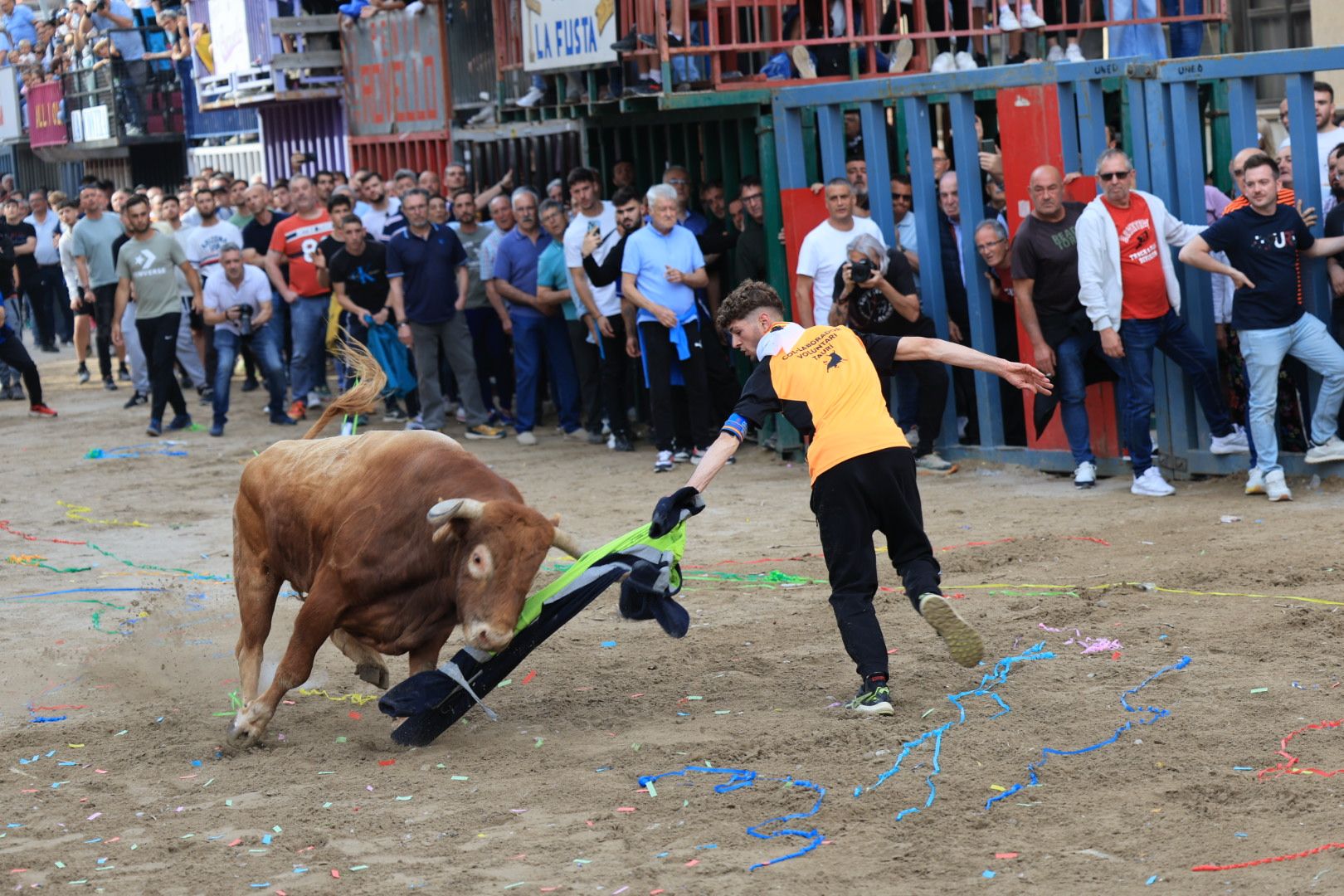 Fotos de la tarde taurina del jueves de las fiestas de Sant Pasqual en Vila-real