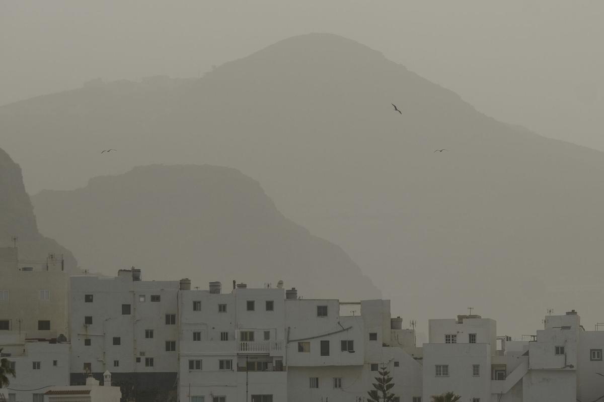 Calima en Gran Canaria (31/03/2026)