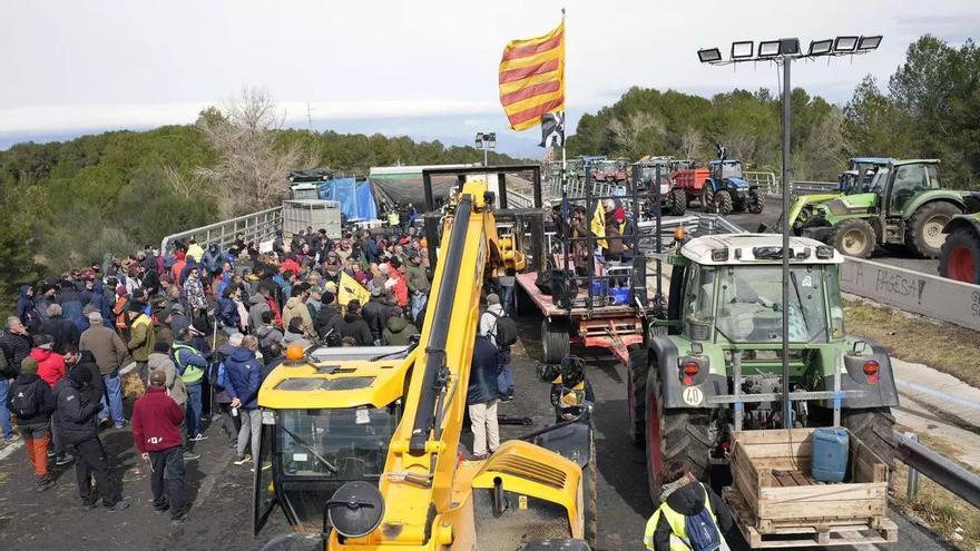 Agricultores españoles y franceses se alían contra los alimentos extracomunitarios