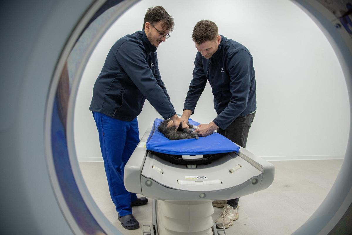 Sala de tomografía computarizada con equipamiento de alta resolución para el diagnóstico avanzado.