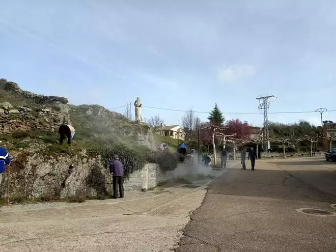 GALERIA | Sábado de "concejo" en Bercianos de Aliste