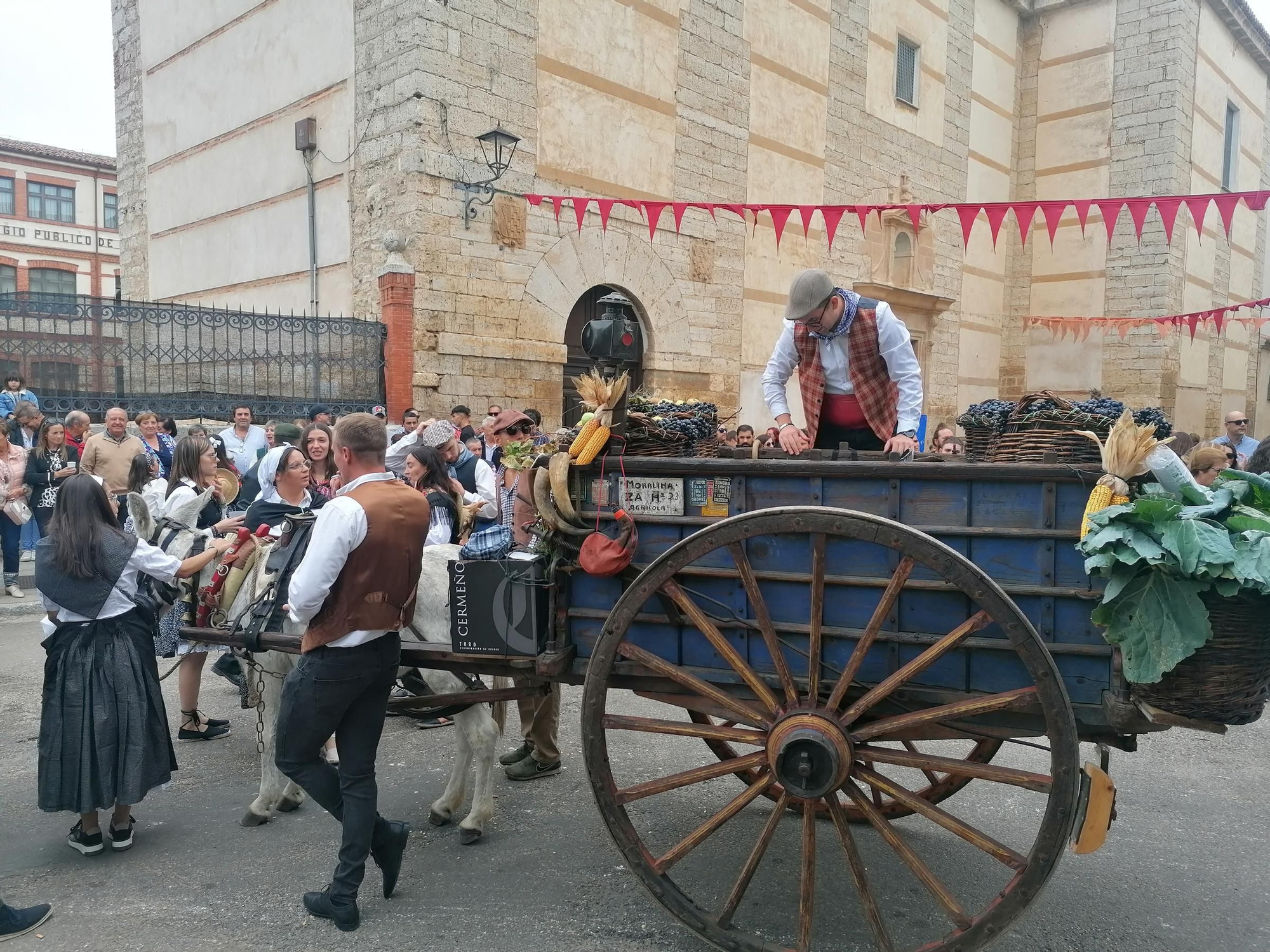 GALERÍA | Toro recrea la vendimia tradicional en el desfile de carros