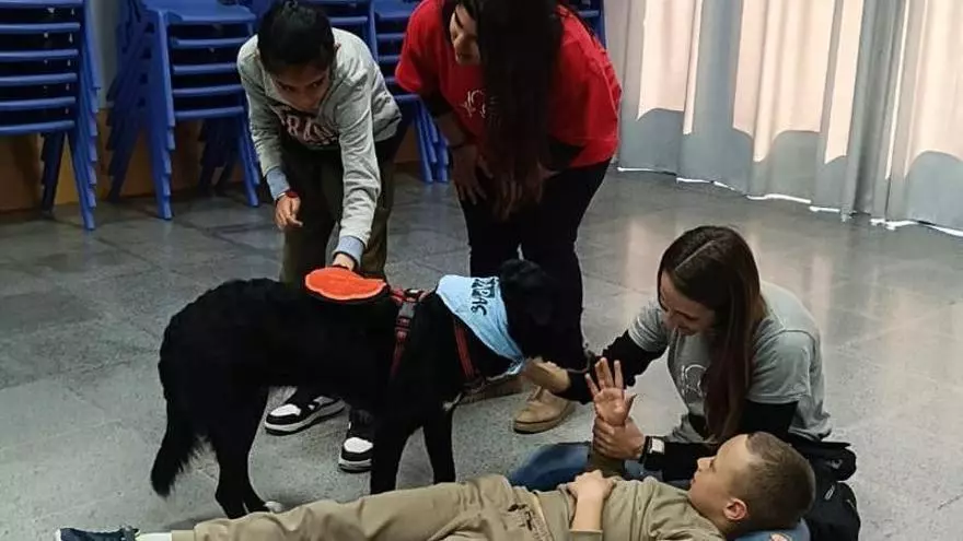 Libertad, la perra que trabaja la emoción y el lenguaje en el Colegio Nuestra Señora del Rosario de Torrevieja