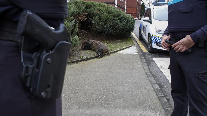 Los policías junto al jabalí abatido en La Magdalena.