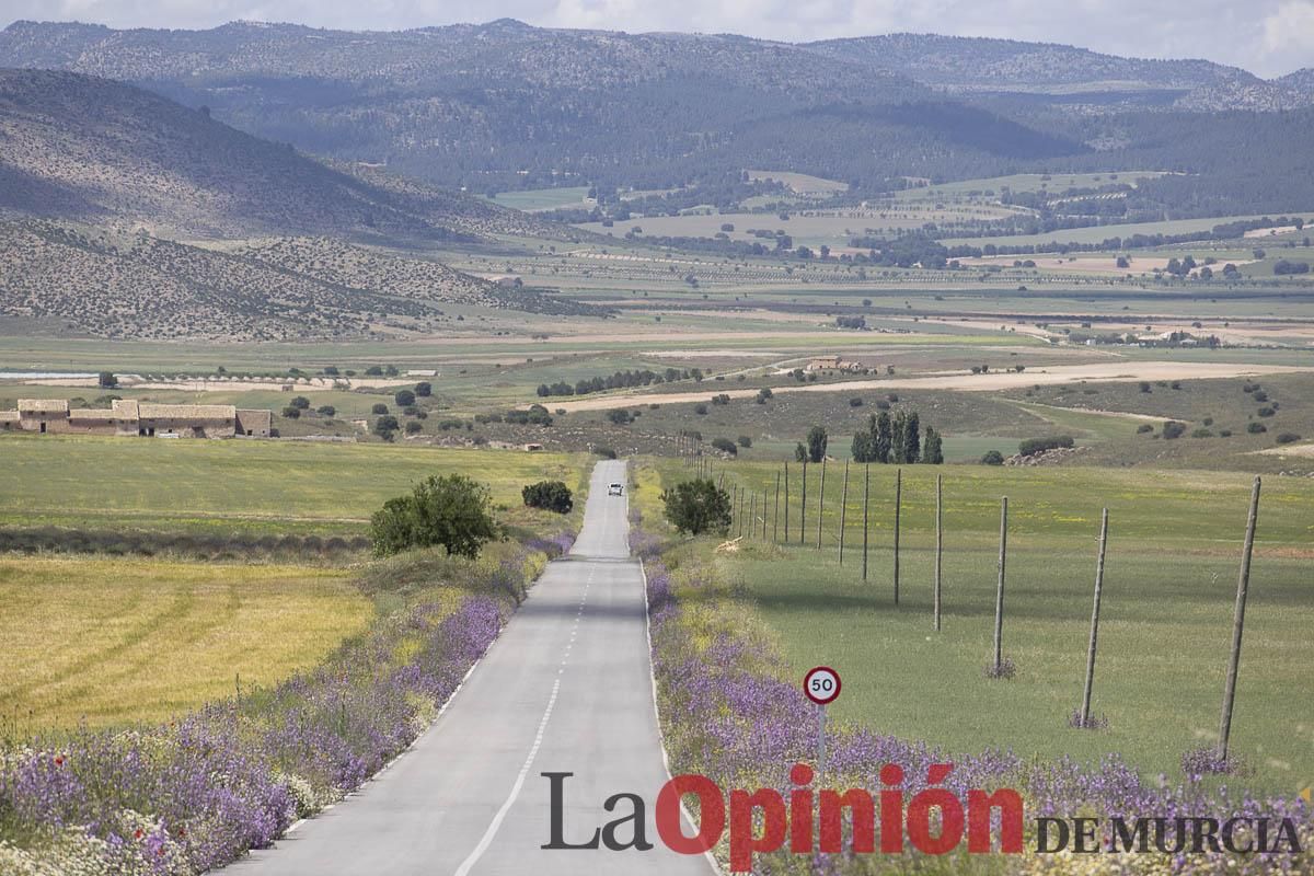 Romería de San Isidro en los Poyos de Celda de Caravaca