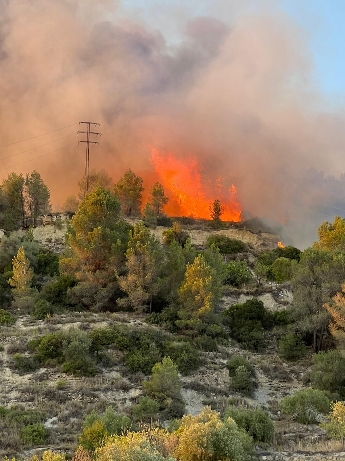 Incendi a Sant Vicenç de Castellet (12 de juliol)