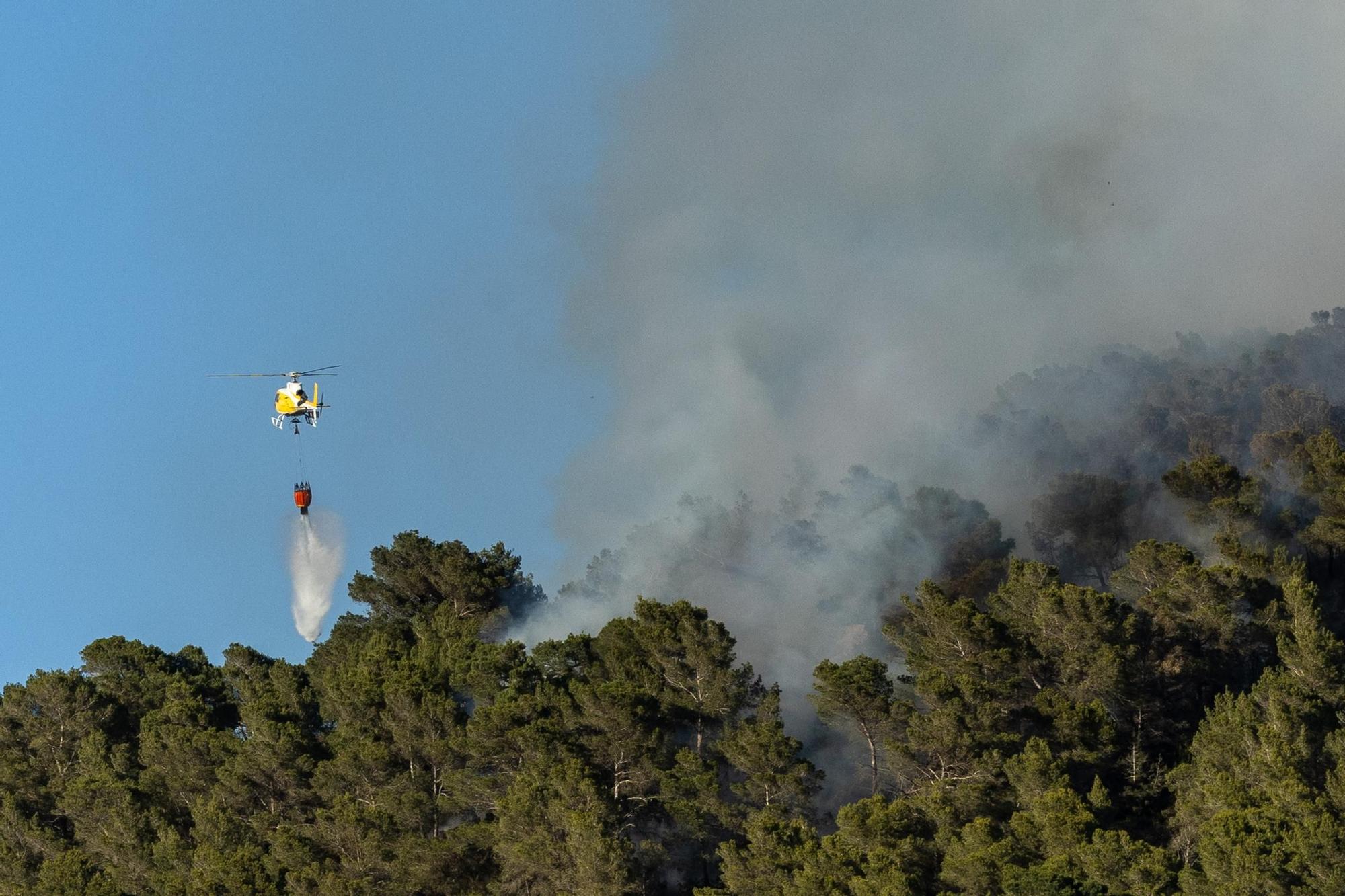 Galería: Imágenes del primer incendio de la temporada