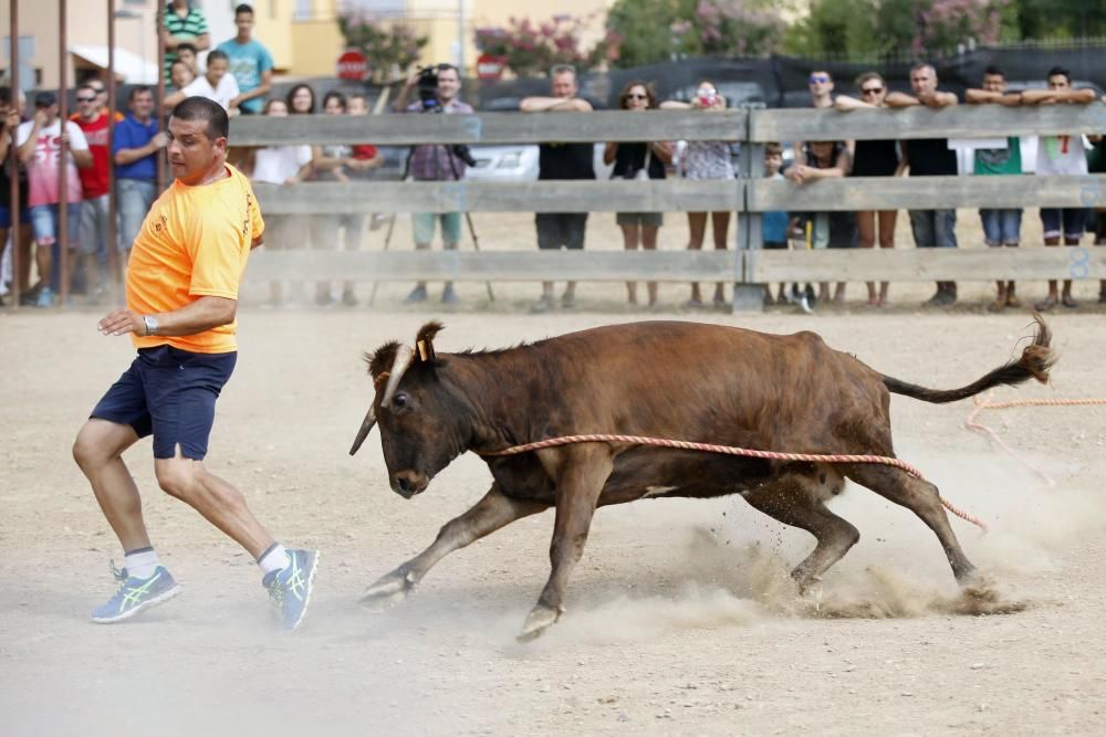 Vaquetes de Torroella de Montgrí