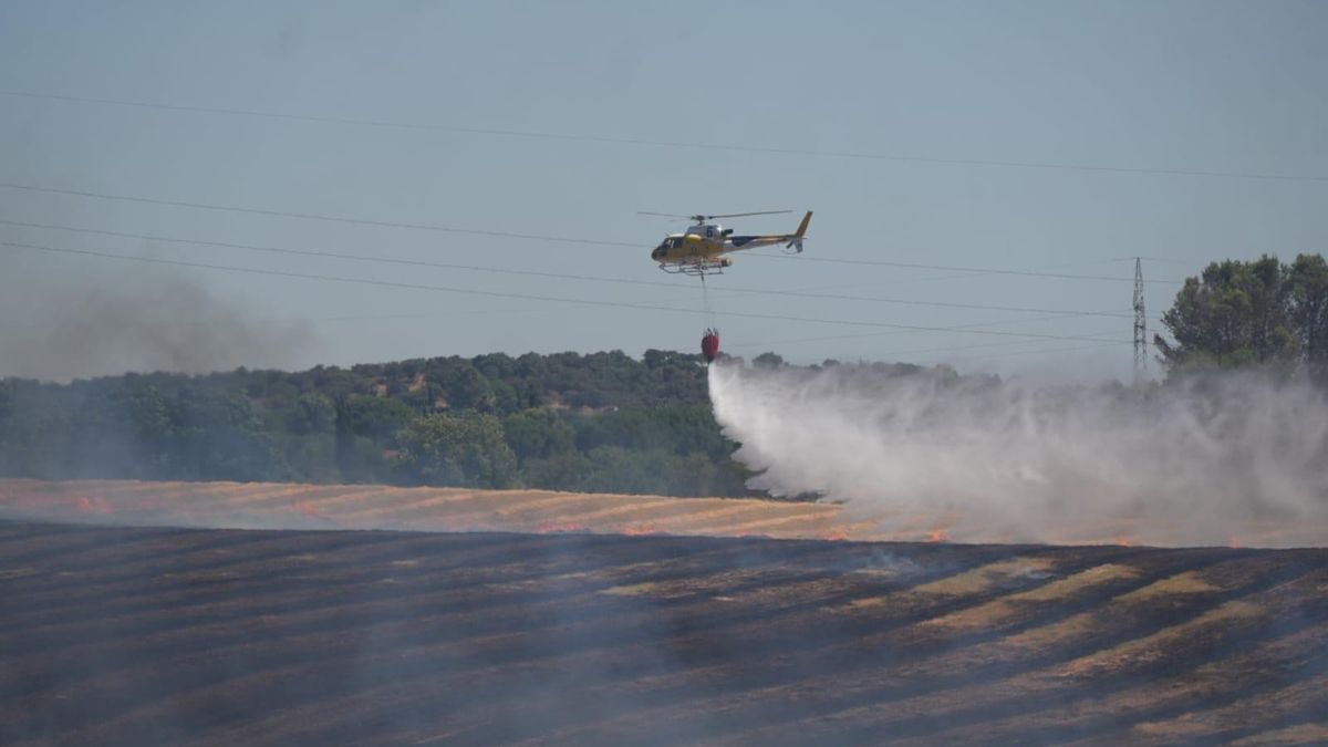 Un incendio en Sancha Brava (Badajoz) obliga a activar el nivel 1