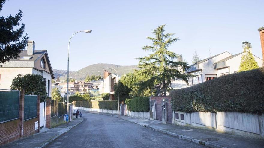 Desmantelan una plantación de marihuana cultivada por chinos en un chalé de Oviedo