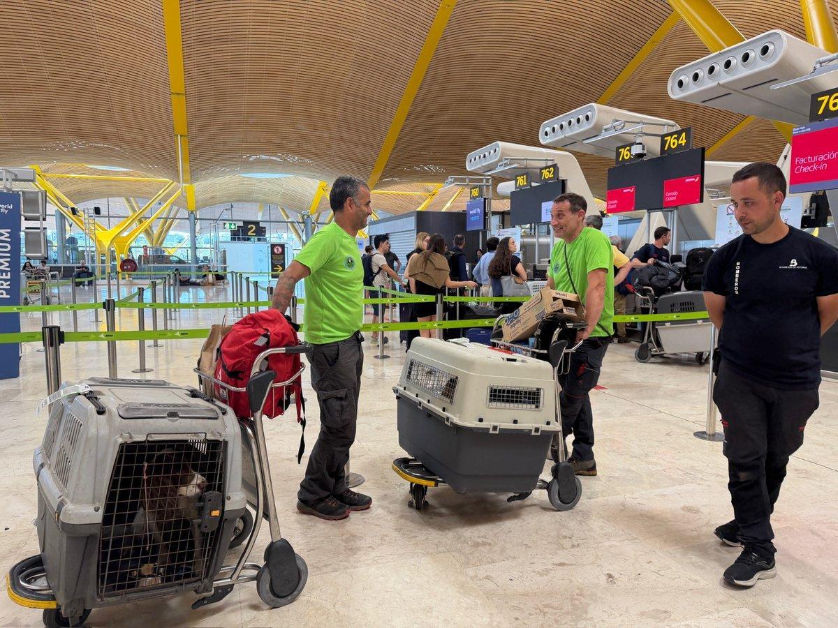 De Prado y Rocandio, en el Aeropuerto madrileño.