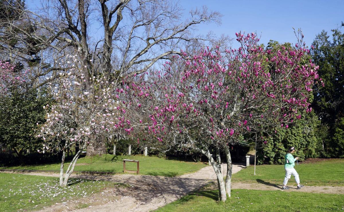 Jardines del Pazo Quiñones de León.