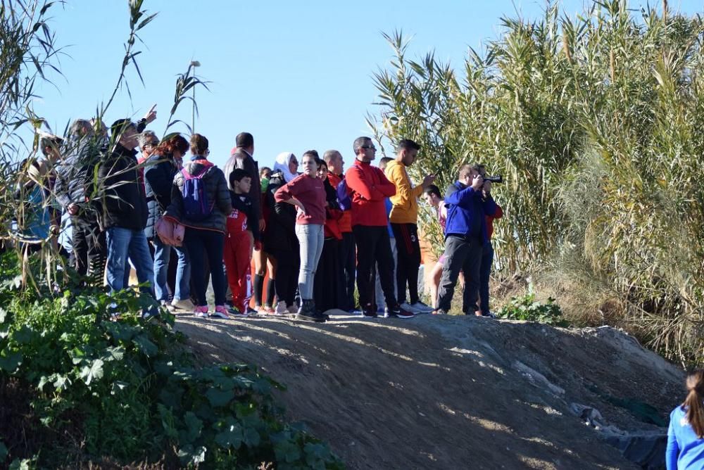 Cross Puerto Lumbreras (I)