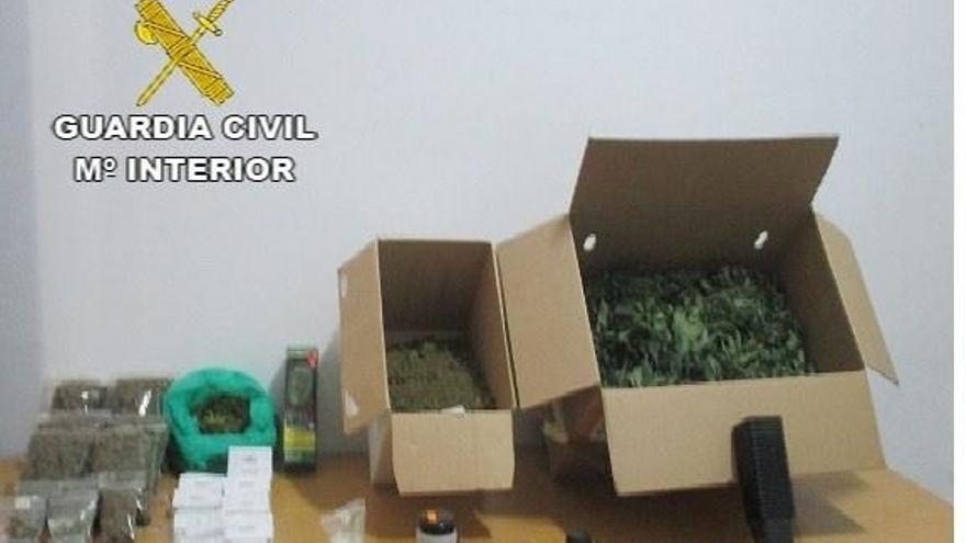 Un detenido en Casar de Castañar con 600 bolsas de marihuana