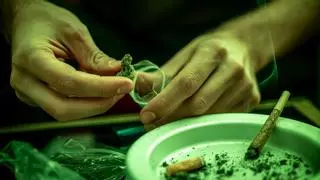 La marihuana exprés, el doble de tóxica y de crecimiento rápido, prende en Catalunya