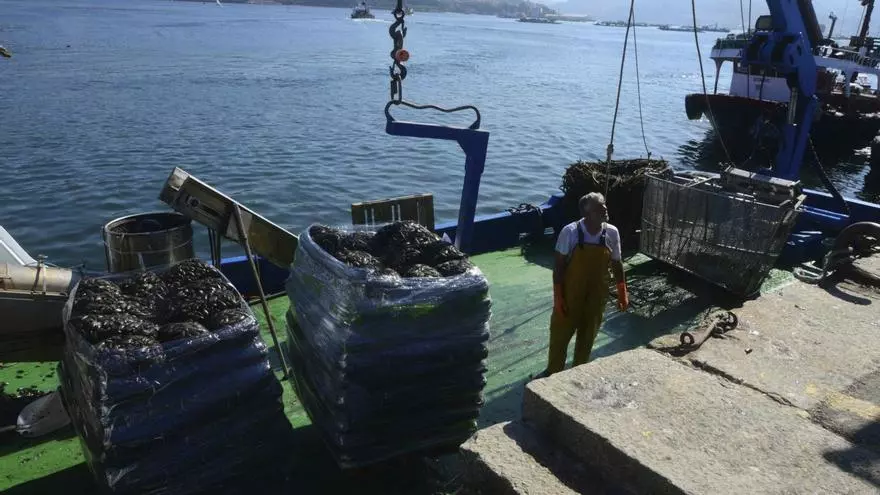 La comarca bate otro récord de trabajadores pero la pesca tiene cada vez menos peso