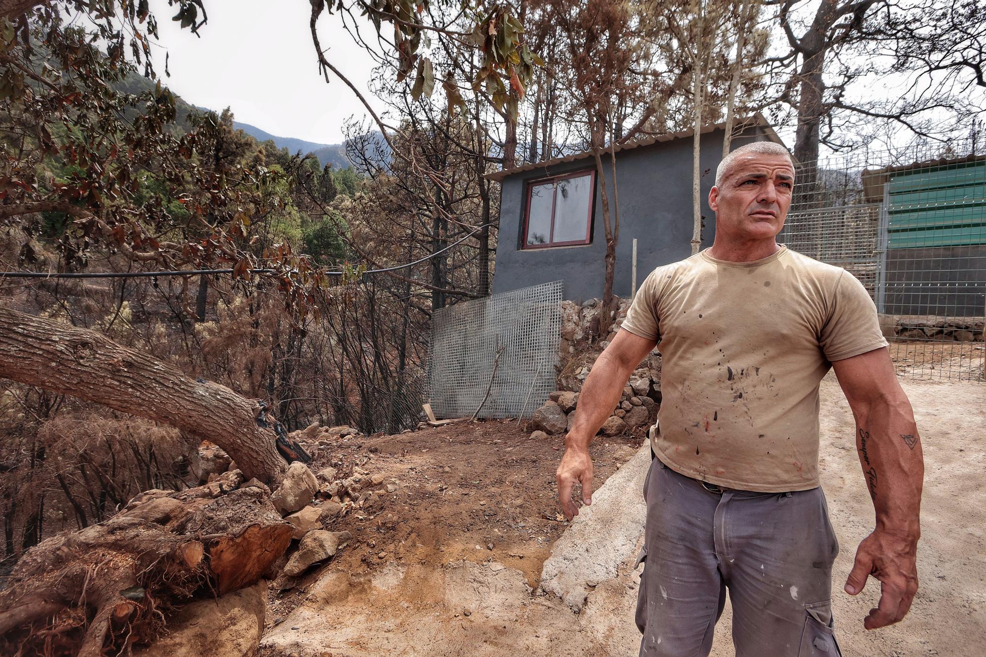 Vecinos de Aguamansa regresan a sus casas tras el incendio en La Orotava