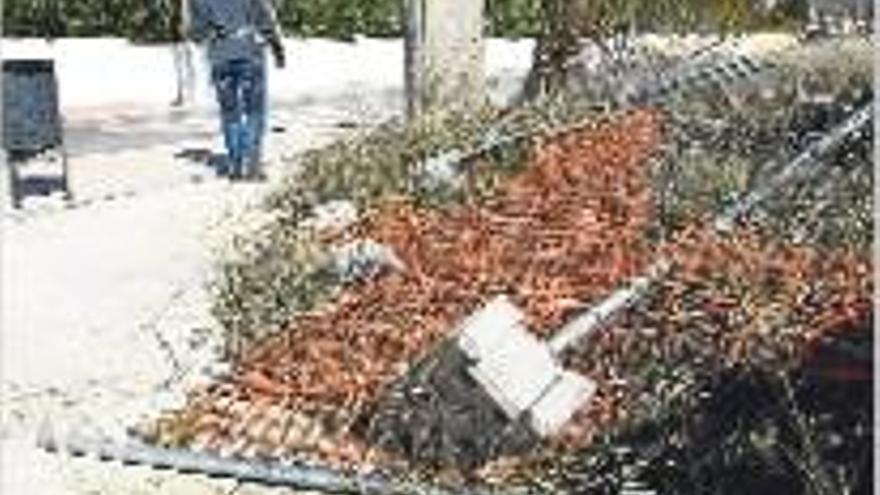 Piscina congelada en Alcoy, dos árboles caídos en Novelda, desperfectos en el cementerio de Elda y vallas en Ibi.