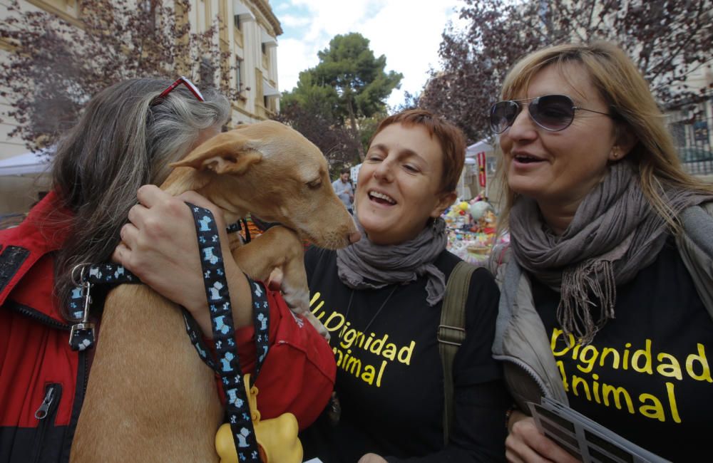 «Ven a la Dipu con tu mascota. Peques y peludos»