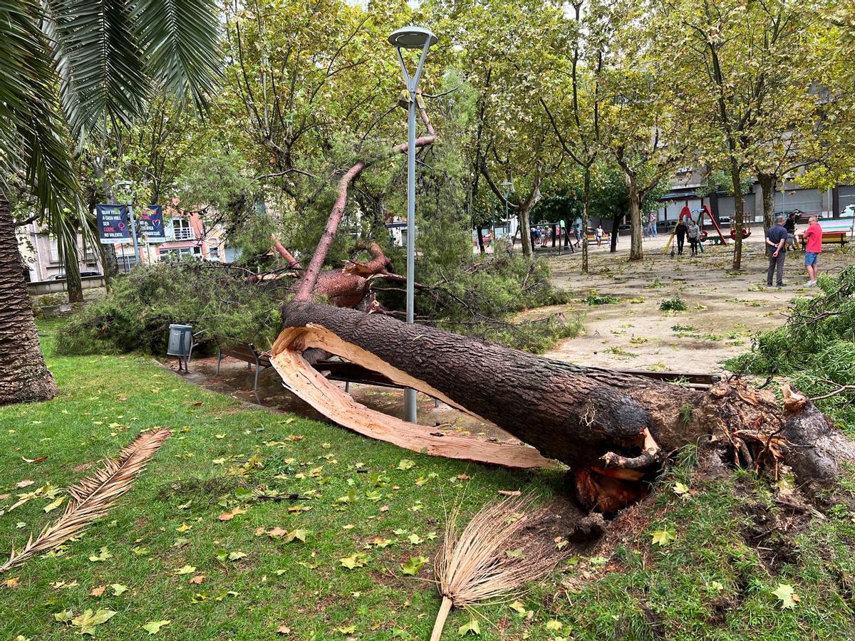 Les tempestes d'avui.