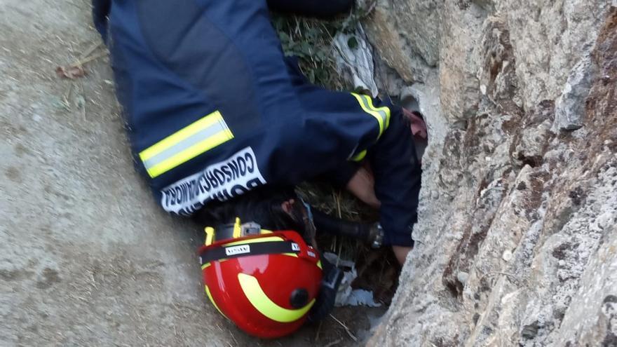 Un bombero en el rescate de varios cachorros en una tubería de Mombuey.