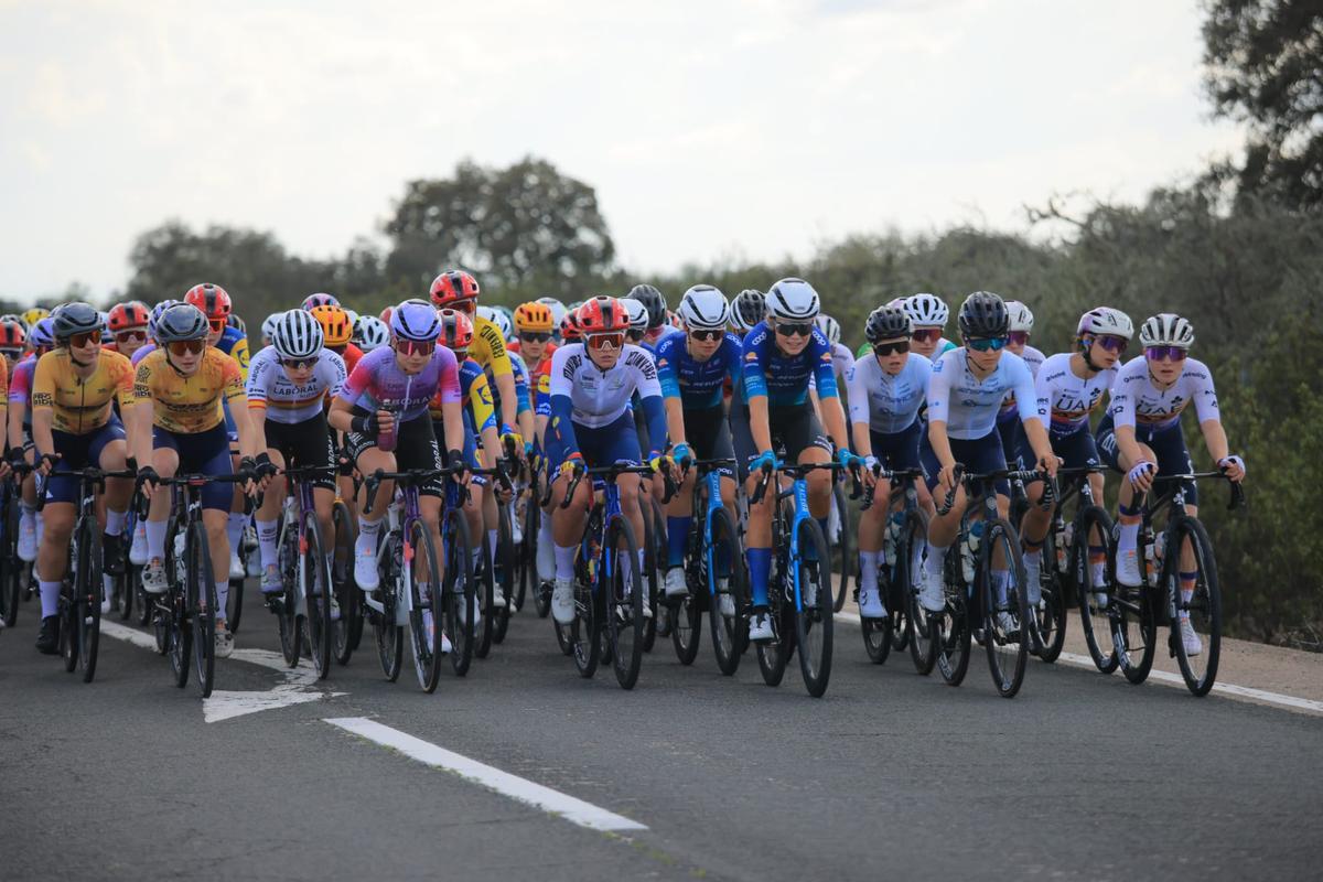 Pelotón en una de las etapas de la Vuelta Ciclista a Extremadura.