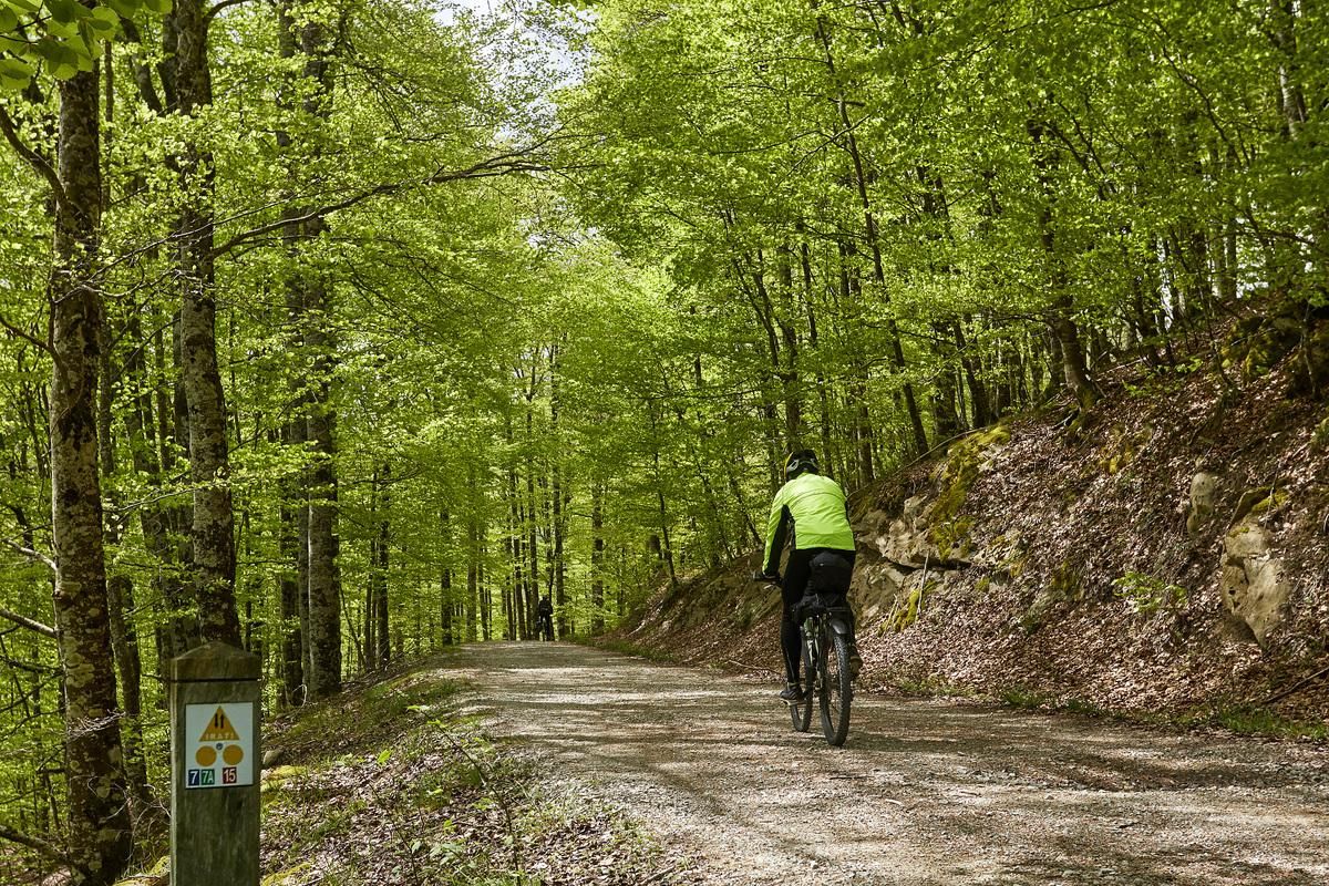 Paseos en bici por la Selva de Irati