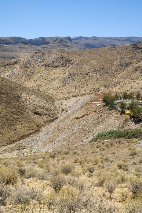 DEPOSITO CONTENEDORES DE BASURA Y VERTEDERO