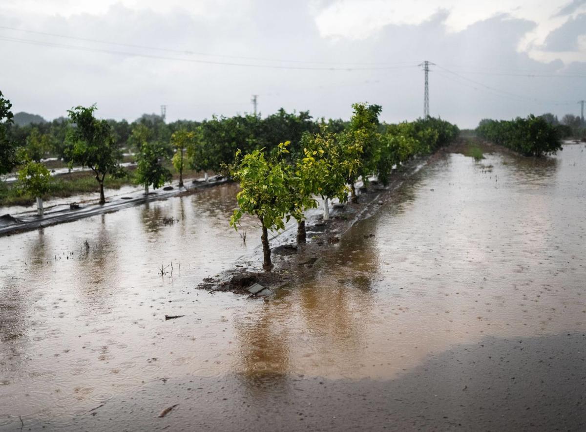 Les víctimes demanen a la UE que impedeixi que l’ajuda vagi al negacionisme