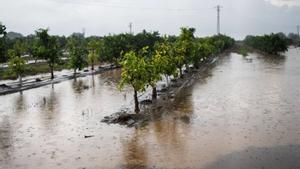 Catalunya amplia un 30% les seves zones amb risc d’inundació