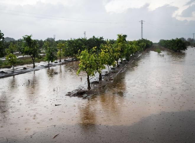 Муниципалитеты Каталонии получают помощь после катастроф