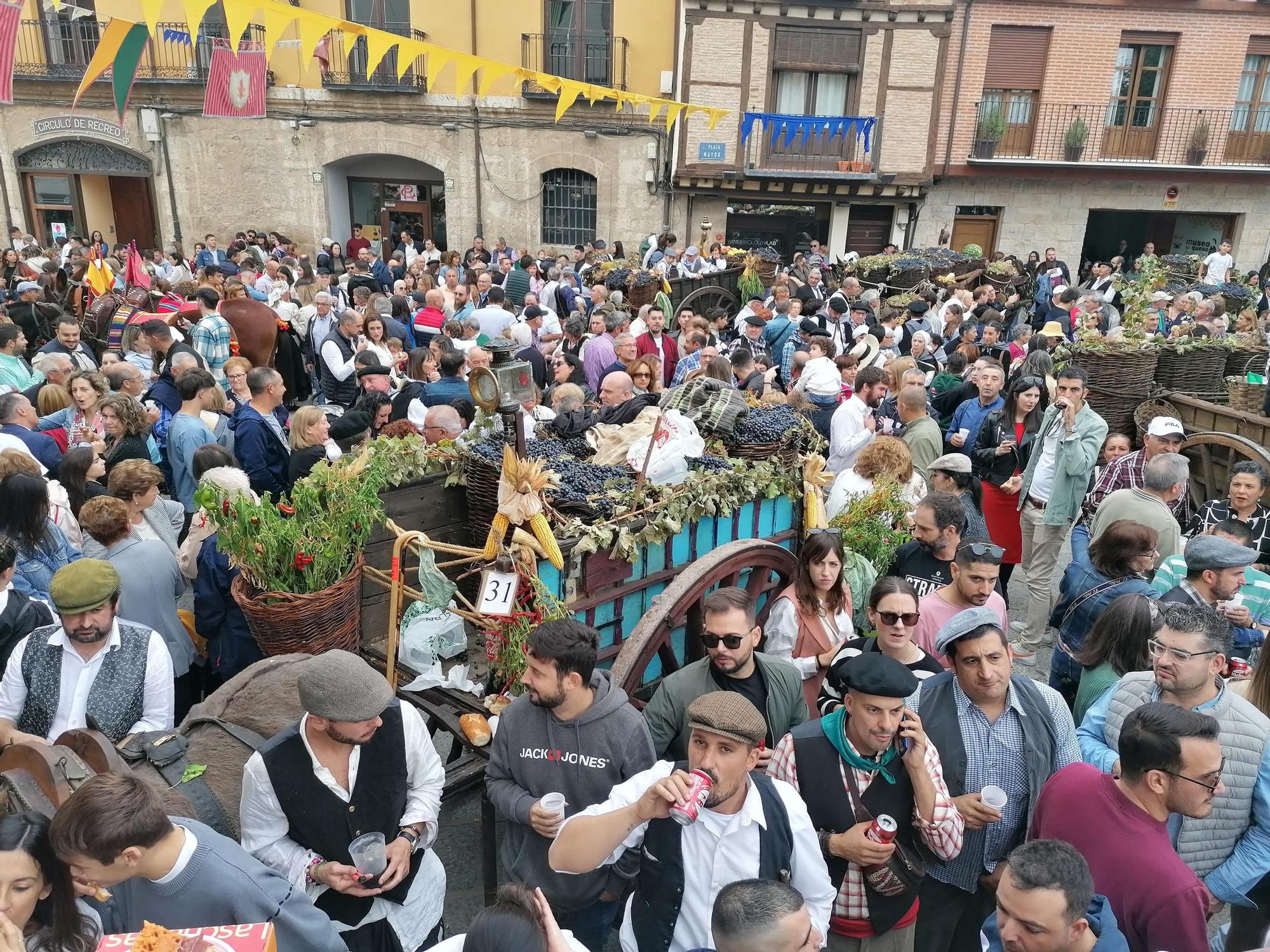 GALERÍA | Toro recrea la vendimia tradicional en el desfile de carros