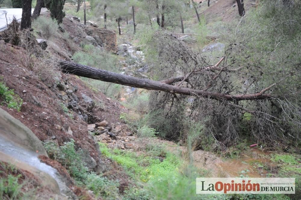 Las consecuencias del temporal en Murcia