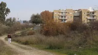 La Junta reactiva la venta de terrenos en el Cordel de Écija
