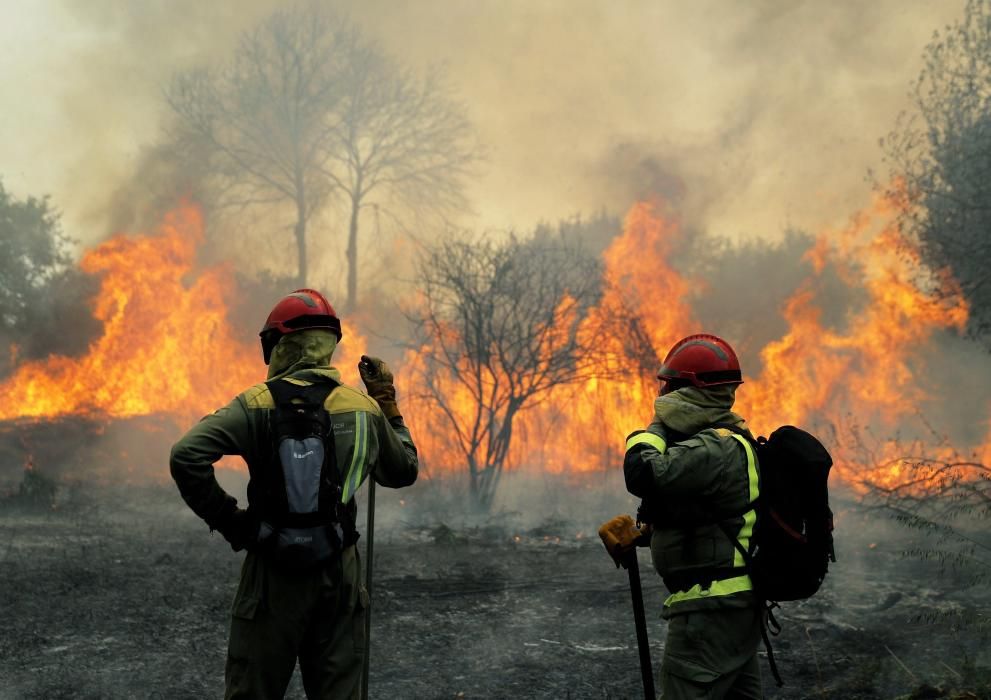 Incendio en Rianxo |El fuego arrasa más de 800 ha