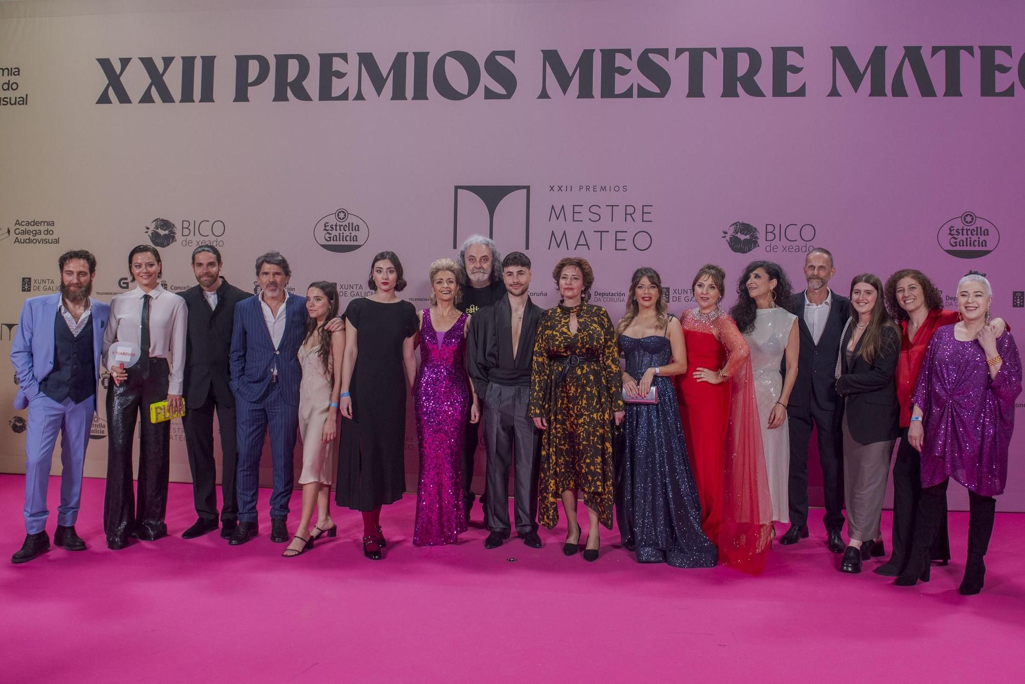 Gala dos premios Mestre Mateo 2024