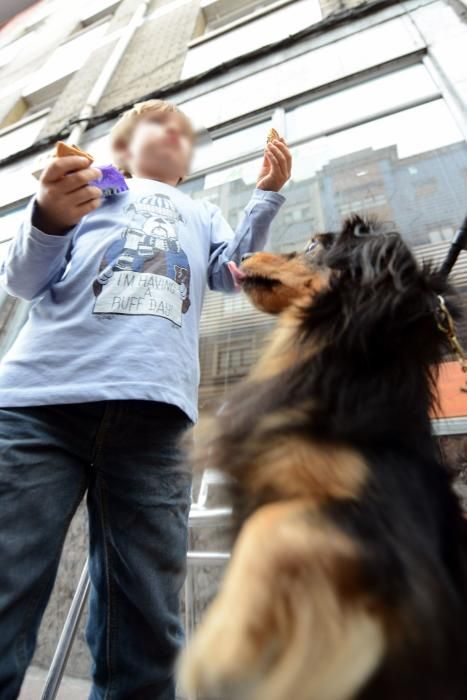 Josín entrega su perro "Trasgu" a Antonia Morales